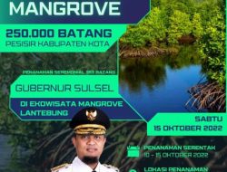 Hari Jadi ke 353 Sulsel, Pelajar Bersama Warga Tanam 250.000 Pohon Mangrove